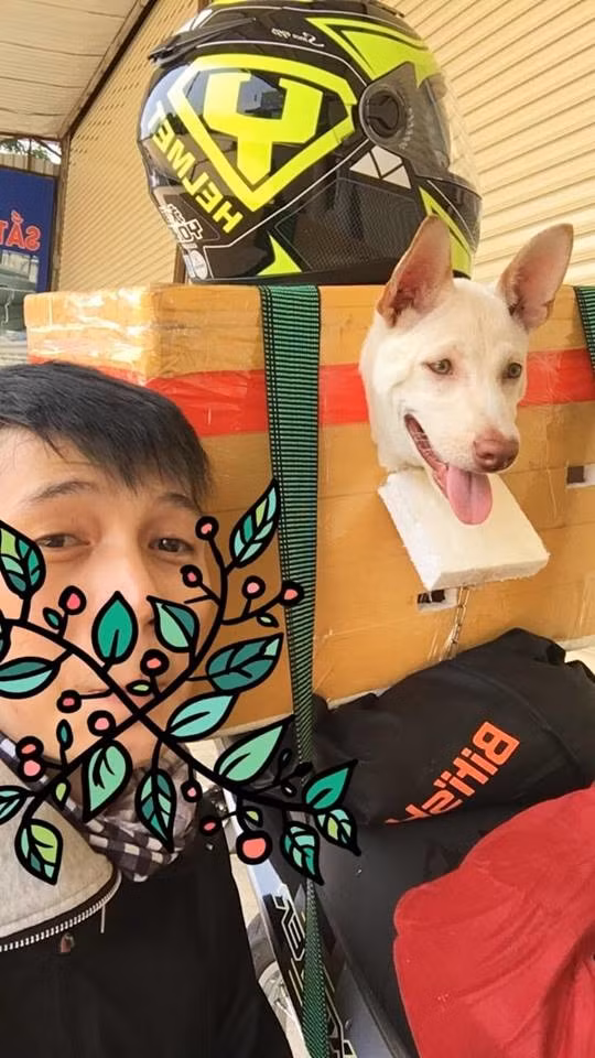 Mỗi hình ảnh boss về quê ăn Tết lại có 1001 kiểu sáng tạo cực hài hước nhưng cũng vô cùng đáng yêu của sen khiến bất cứ ai cũng phải phì cười.