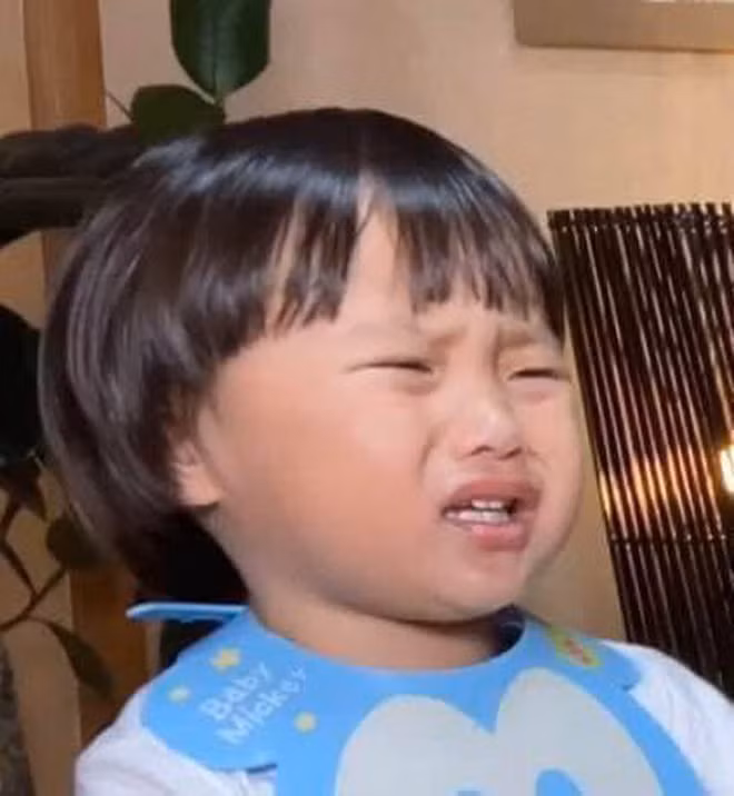 Ở thời điểm 2 năm trước khi mới 3 tuổi, bé Sa kháu khỉnh bụ bẫm và trở thành "thánh meme" trên mạng xã hội.