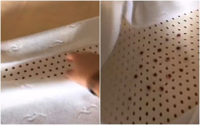 Sự việc sau khi được chia sẻ đã nhanh chóng “gây bão” cộng đồng mạng, đa số đều cảm thấy thích thú và thán phục trước nơi giấu tiền có 1-0-2 của anh chồng.