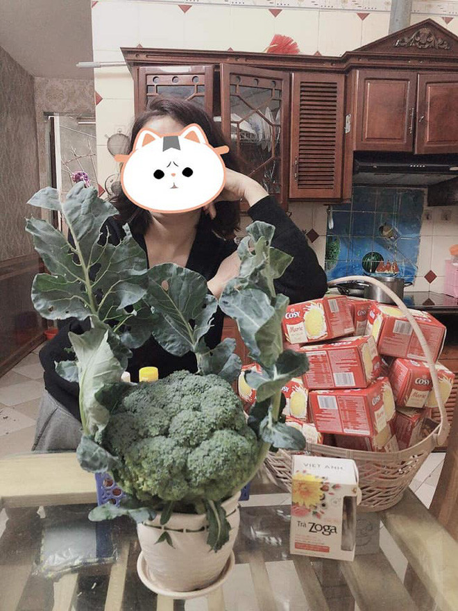 Cây nhà lá vườn vẫn là tuyệt vời nhất, thêm ít đèn nháy thì lung linh chả kém mai đào là mấy. Ảnh: Facebook