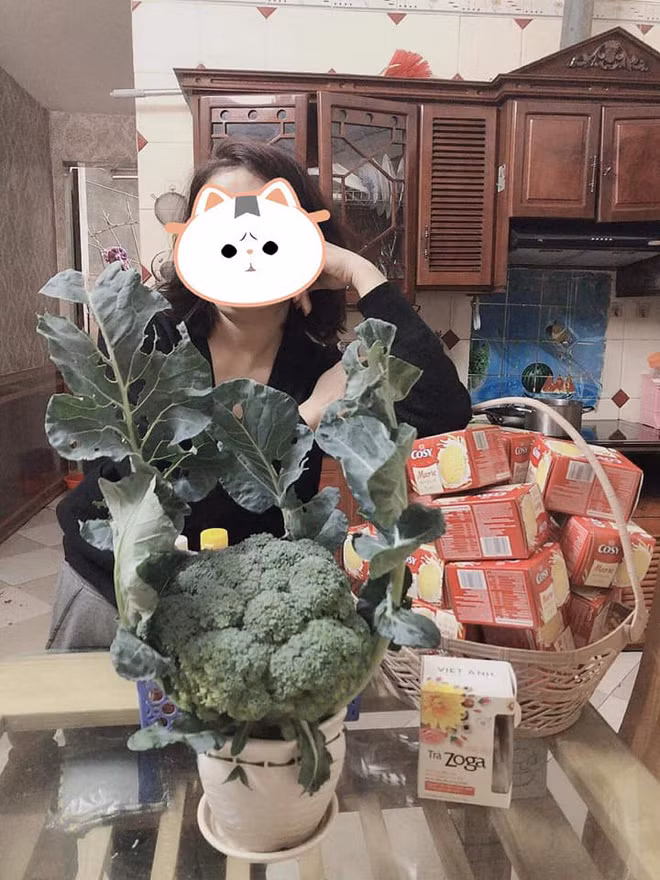 Cây nhà lá vườn vẫn là tuyệt vời nhất, thêm ít đèn nháy thì lung linh chả kém mai đào là mấy. Ảnh: Facebook