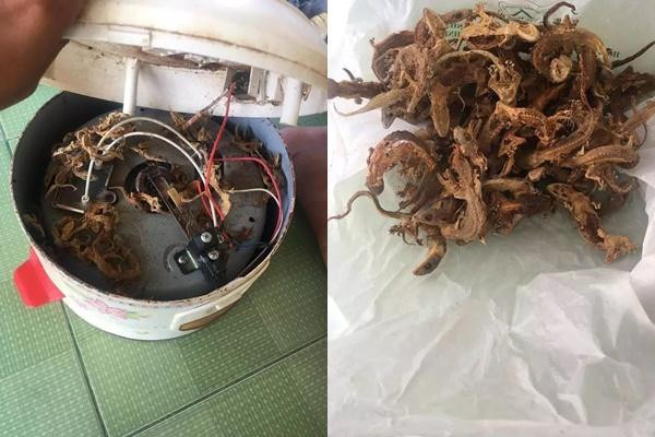 Những hình ảnh nồi cơm điện bị bỏ quên và cảnh tượng hãi hùng bên trong nó từ trước đến nay xuất hiện không ít trên MXH.
