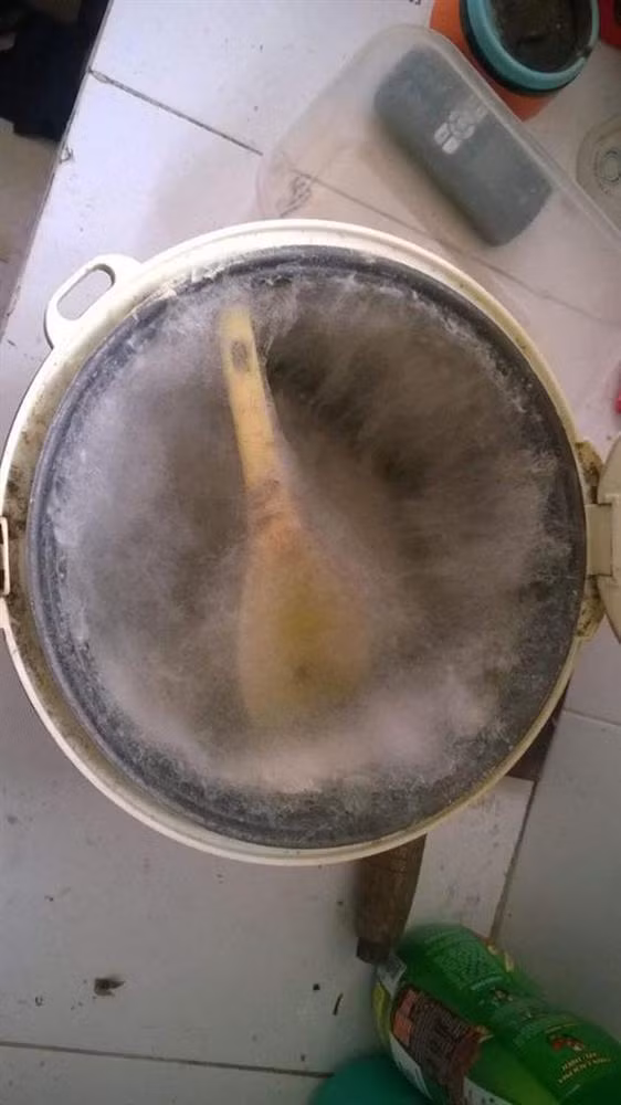 Ngay khi những hình ảnh này xuất hiện trên MXH ngay lập tức thu về rất nhiều bình luận đồng cảm của cộng đồng mạng.