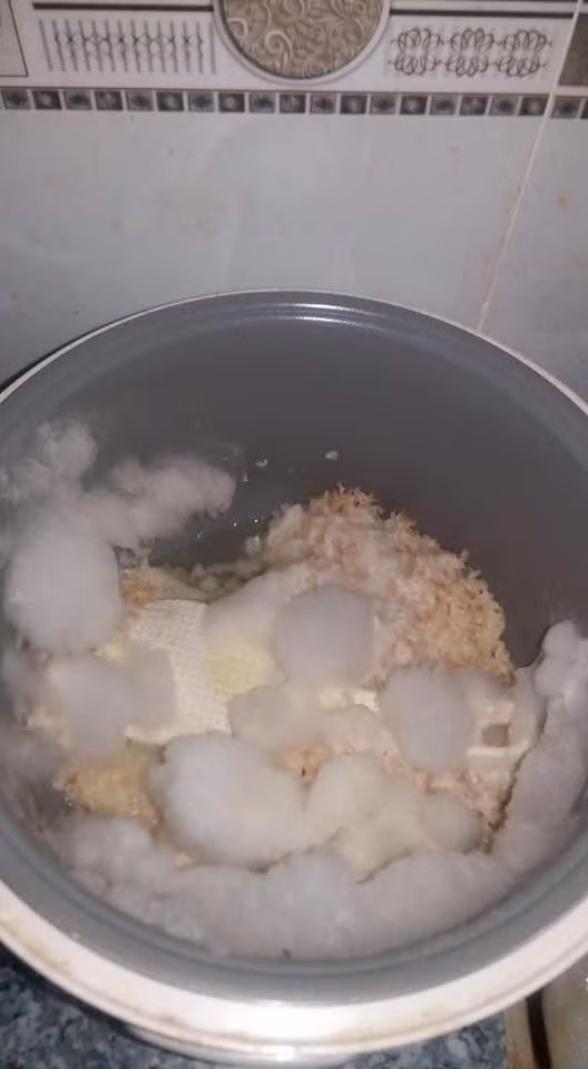 Hình ảnh ghi lại chiếc nồi cơm với đầy nước nhẽo nhẹt, nổi đầy mốc trắng, nổi cả váng, thành nồi thì mốc meo.