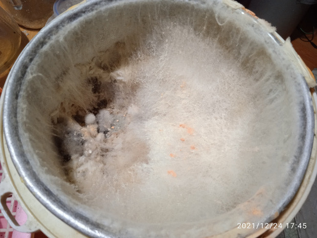 Theo như chàng trai này kể lại, một ngày đang ngoài đường thì nghe tin phải đi cách ly, anh chẳng kịp chuẩn bị nhiều đồ đã phải xa nhà, vừa đi anh đã nhớ đến nồi cơm điện đang để dở cơm nguội nhưng không thể làm gì.