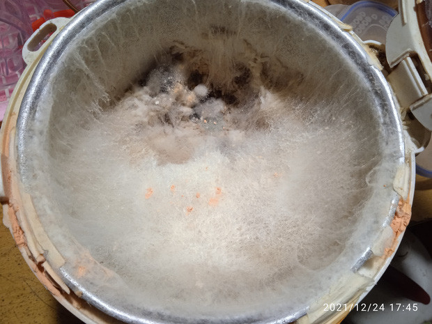 Mới đây, một chàng trai chia sẻ câu chuyện bất ngờ đi cách ly và cảnh tượng kinh hoàng bên trong nồi cơm điện vì quên chùi rửa khiến netizen "tá hỏa" một phen.