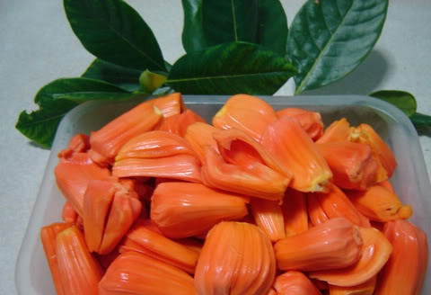 Phong Điền (Cần Thơ) còn nổi tiếng với mít tứ quý da xanh, cho quả 4 mùa. Với thời gian một năm rưỡi cây sẽ cho trái thu hoạch. Bình quân mỗi trái nặng khoảng 10kg, có trái nặng đến 18kg. Mít có vỏ xanh ruột đỏ hấp dẫn.