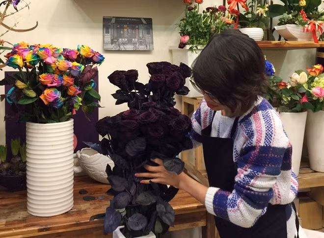 Bên cạnh đó, các dòng hoa hồng 7 màu, hoa hồng đen có giá từ 250.000 - 350.000 đồng/bông, mỗi bó hồng bạc triệu cũng không làm khó những đại gia Việt có tiền, bạo chi.