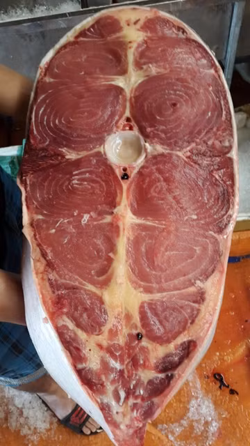 Thịt cá tra dầu có màu đỏ tươi, da giày, rất dai. Khi thưởng thức, cá tra dầu có vị béo ngậy đặc trưng. Với mức giá bán trên thị trường dao động từ 1,5 triệu đồng/kg, thịt cá tra dầu là thực phẩm được nhiều đại gia lùng mua.