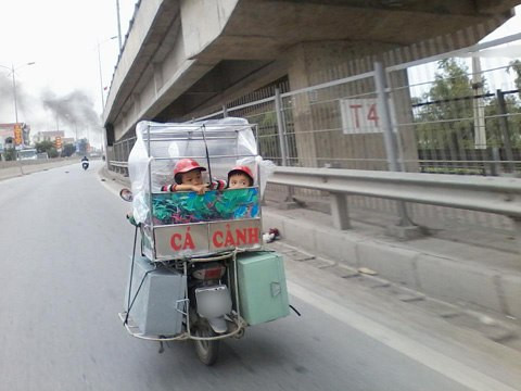 Có hai chú "cá cảnh" siêu độc.