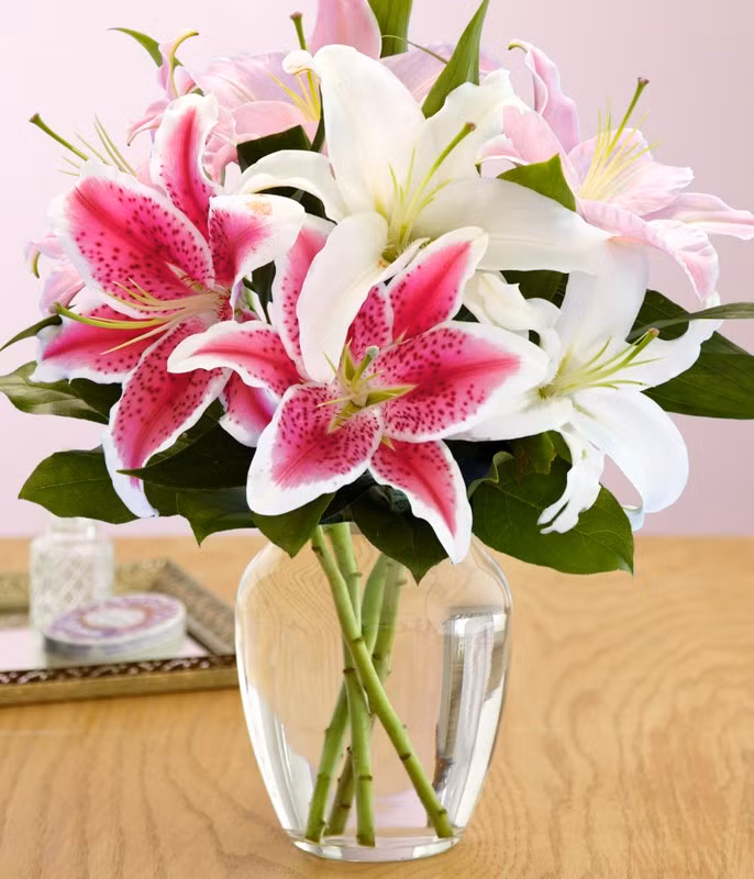 Để hoa ly tươi lâu, bạn đừng quên cắt sạch những chiếc lá nằm dưới nước. Việc có lá sẽ khiến nước cắm bình bị thối, ảnh hưởng đến chất lượng bình hoa.