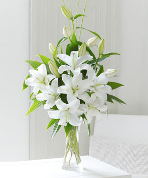 Bình hoa ly muốn "trụ" lâu cần được đặt ở nơi thông thoáng, tránh ánh nắng trực tiếp. Đặc biệt, bạn cần để bình hoa xa các khu có tivi, tủ lạnh hoặc những vật dụng tỏa nhiệt trong nhà.