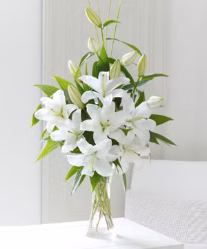 Bình hoa ly muốn "trụ" lâu cần được đặt ở nơi thông thoáng, tránh ánh nắng trực tiếp. Đặc biệt, bạn cần để bình hoa xa các khu có tivi, tủ lạnh hoặc những vật dụng tỏa nhiệt trong nhà.