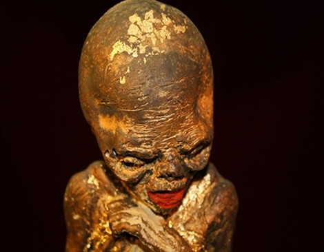 Một Kumanthoong từ bào thai.