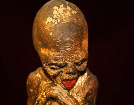 Một Kumanthoong từ bào thai.