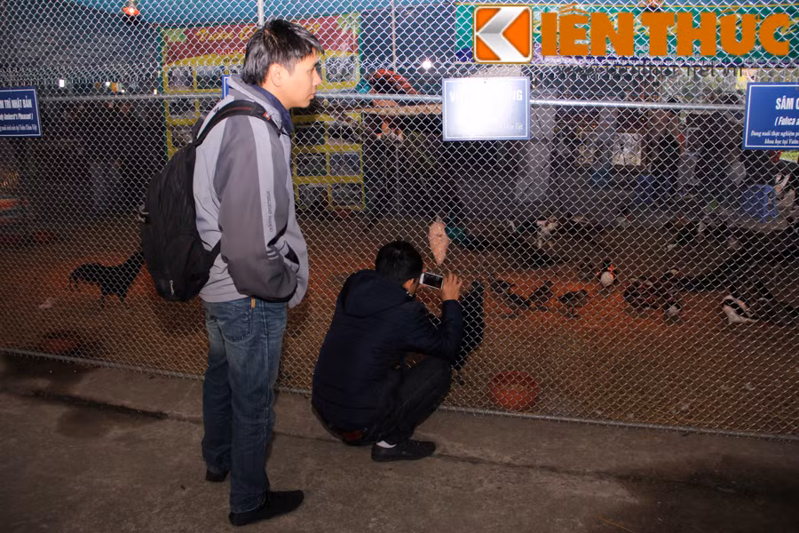 Nhiều khách hàng thích thú ngắm nhìn và chụp ảnh các loại chim, thủy cầm quý hiếm và đắt tiền.