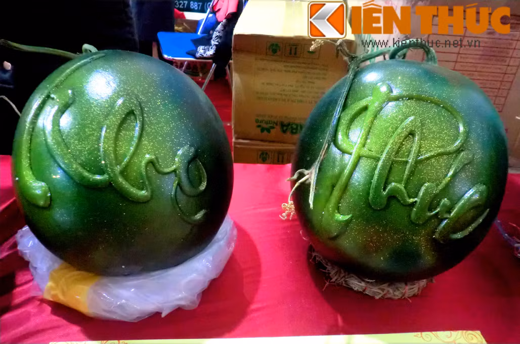 Đây là thời điểm thị trường hoa quả Tết 2016 đã rất sôi động. Các tiểu thương bung đủ mặt hàng độc, lạ để thu hút khách mua. Năm nay, một cửa hàng phân phối hoa quả tại Cầu Giấy (Hà Nội) đã lấy về loại dưa hấu in hình và chữ nổi lạ mắt để bán dịp Tết. Trong đó, các quả dưa hấu được in chữ Phúc - Lộc - Thọ - Tài hoặc in hình tam đa, Phật Bà Quan Âm. Đặc biệt, có dưa hấu in hình khỉ - linh vật năm 2016.