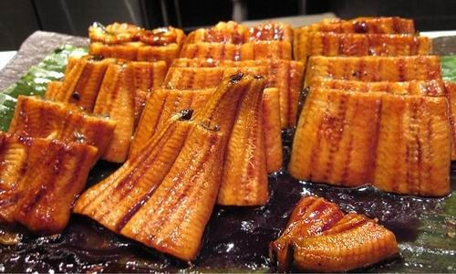 Lươn nướng Nhật Bản có giá từ 1,5 triệu đồng/kg.