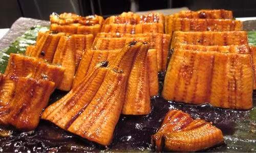 Lươn nướng Nhật Bản có giá từ 1,5 triệu đồng/kg.
