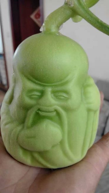 Theo nhiều chủ cửa hàng hoa quả tại Hà Nội, dưa lê độc lạ này được nhập từ Trung Quốc, một số loại từng được bán hồi tháng 7 Âm lịch, nhưng số lượng chưa nhiều, để phục vụ Tết nên cửa hàng lấy thêm mẫu mã. Những loại mới có mức giá đắt đỏ hơn. Trong đó, một cặp dưa trường thọ từ 300.000 đồng trở lên.