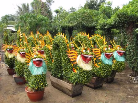 Cầu kỳ hơn, kiểng hình rồng "ngốn" vài tháng chăm sóc, tạo hình của nhà vườn được rao giá từ 3-7 triệu đồng.