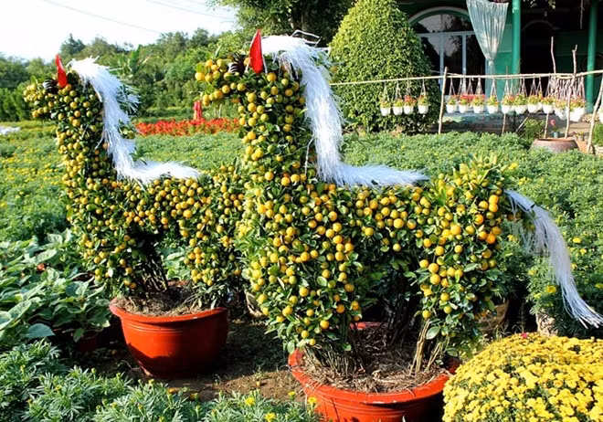 Một cặp kiểng ngựa được tạo hình từ cây quất (hay còn được gọi là tắc) được rao bán với giá 3-4 triệu đồng. Ảnh: Zing.