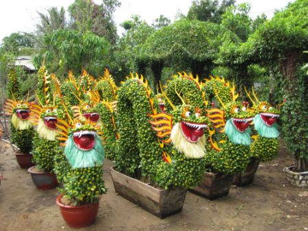 Cầu kỳ hơn, kiểng hình rồng "ngốn" vài tháng chăm sóc, tạo hình của nhà vườn được rao giá từ 3-7 triệu đồng.