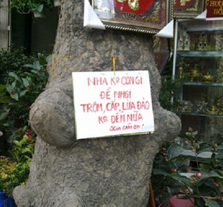 Tiếp tục treo biển "cảm ơn" nếu trộm cắp, lừa đảo không đến nữa.