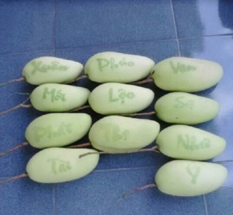 Độc đáo không kém, xoài in chữ "Tài, lộc, phát, thọ", "vạn sự như ý" hiện được rao bán trên thị trường 500.000 đồng/quả. Đây là sản phẩm của gia đình anh Huỳnh Thanh Khoa (ấp Tân Phát, xã Tân Thuận Đông, TP.Cao Lãnh). Ảnh: NĐT.