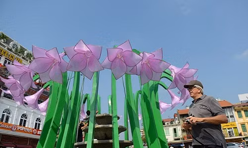 Thao do dai hoa la gay tranh cai o Ha Noi