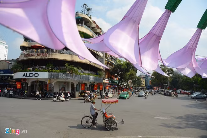 Tên loài hoa này được bàn tán sôi nổi trên mạng. Người cho rằng, đó là hoa rau muống, ý kiến khác khẳng định đây là hoa loa kèn. Nhiều người nói vui trông như hoa ăn thịt người trong chuyện cổ tích.