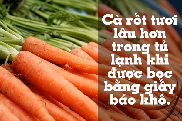 Tận dụng giấy báo khô để bọc cà rốt khi cất trữ trong tủ lạnh.