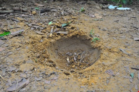 Chiếc hố có hình xoáy theo chiều kim đồng hồ.