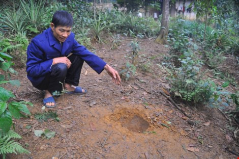 Ông Lưu Quang Thành, chủ khu vườn có “vật thể lạ” rơi xuống.