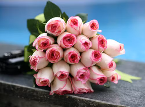 Goi y qua tang Valentine gia mem ma van y nghia