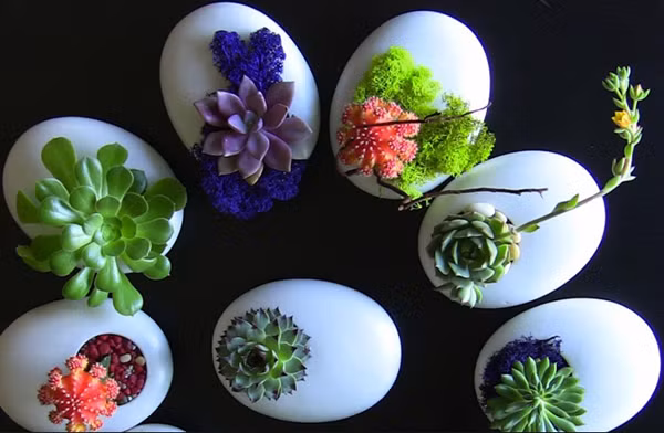 Nếu nửa kia của bạn là người yêu thích cỏ cây, thiên nhiên, một chậu hoa, cây cảnh mini là gợi ý không tồi. Từ 50.000 đồng, bạn có thể mua được một chậu cây tặng Valentine.