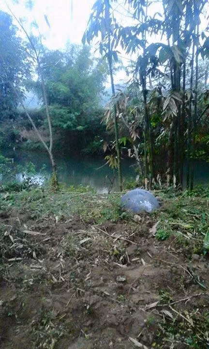 Nhan dien vat the la roi o Tuyen Quang, Yen Bai