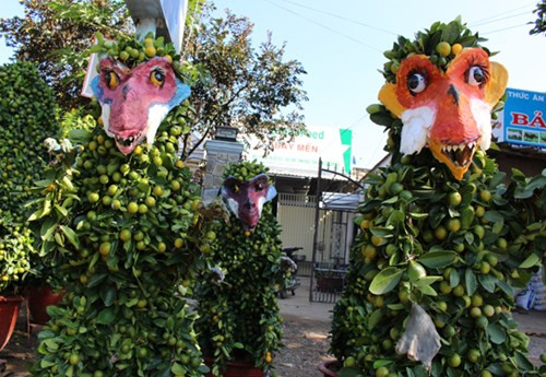 Trong số các loại cây cảnh Tết "độc", quất cảnh tạo hình khỉ khiến nhiều người tò mò, quan tâm. Nghệ nhân Nguyễn Văn Vị (ở xã Hưng Khánh Trung B, huyện Chợ Lách, tỉnh Bến Tre) đã sáng tạo cây quất cảnh khỉ “Tề thiên". Chậu kiểng khỉ có chiều cao gần 1 mét tốn khoảng 10 chậu quất cảnh.