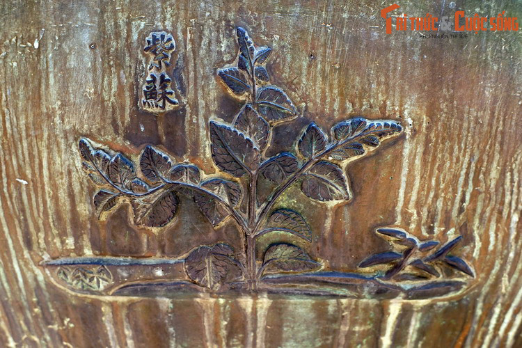 Du đỉnh, chiếc đỉnh thứ 8 có hình tượng “Tử tô” là cây tía tô, loài cây bụi có lá màu tím, được dùng làm gia vị và dược liệu. Lá tía tô là thành phần không thể thiếu của một số món như cháo thịt băm, ốc chuối đậu. Đây cũng là một loại rau sống phổ biến trong bữa ăn của người Việt.