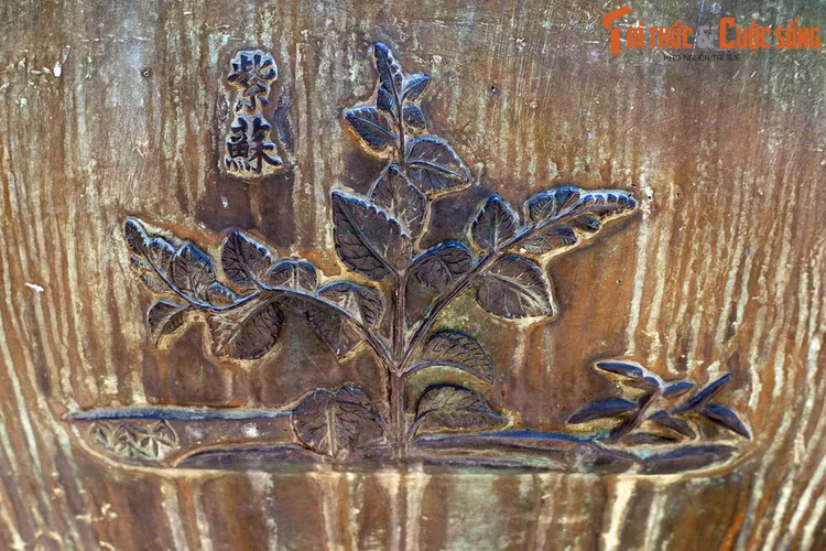 Du đỉnh, chiếc đỉnh thứ 8 có hình tượng “Tử tô” là cây tía tô, loài cây bụi có lá màu tím, được dùng làm gia vị và dược liệu. Lá tía tô là thành phần không thể thiếu của một số món như cháo thịt băm, ốc chuối đậu. Đây cũng là một loại rau sống phổ biến trong bữa ăn của người Việt.