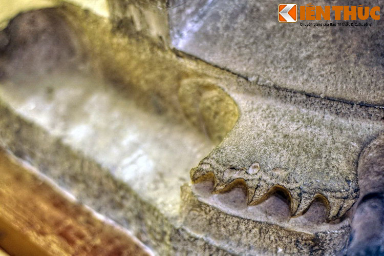 Trong hệ thống cổ vật Việt Nam, bia Linh Xứng cũng là một trong số ít những tấm bia có từ thời nhà Lý còn lại nguyên vẹn đến ngày nay. (Bài có sử dụng tư liệu của Bảo tàng Lịch sử quốc gia Việt Nam).