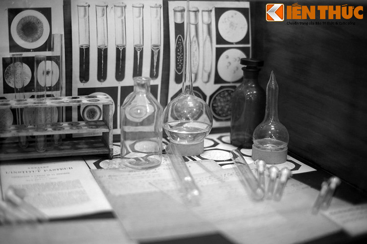 Lập tức Yersin bắt tay dập dịch. Ông cho tiêm huyết thanh đến các nhân viên và tất cả người dân khu vực có dịch, đồng thời khuyên dân ở đây nên đến vùng cách ly. Chính quyền đưa ra khoản bồi thường cho cư dân để ngành y tế tiến hành diệt trùng bằng cách đốt hết các khu nhà của người bị bệnh.