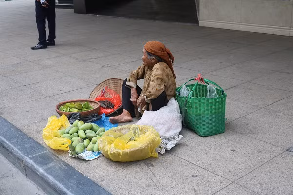 Cụ già tần tảo mưu sinh với những thứ cây trái tự trồng được.