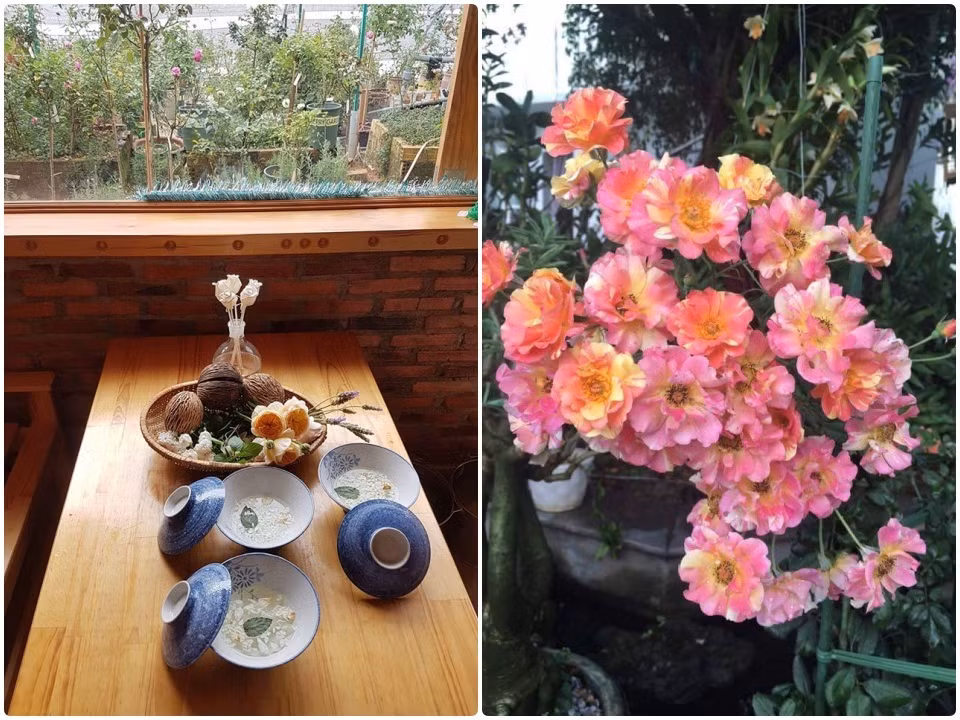 Khu vườn trở nên đặc biệt hơn với sự hiện diện của hơn 300 giống khác nhau với đủ hương thơm, màu sắc, từ những giống hồng hiện đại đủ form màu rực rỡ đến những giống hồng cổ điển chỉ có 5 – 6 cánh mỏng manh nhưng cũng đầy quyến rũ. Ảnh: Vietnammoi.vn