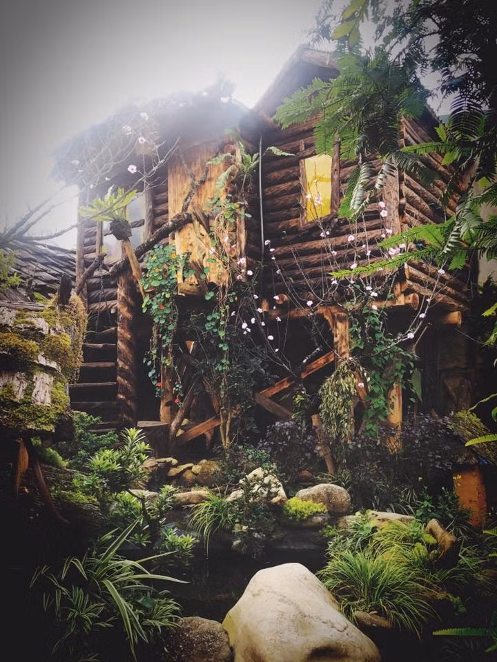 1. Nhà gỗ bên "suối" hoa hồng rực rỡ ở lưng chừng Sapa Vì chủ nhân của ngôi nhà gỗ nằm trên vùng núi cao của Sapa là một người rất yêu hoa nên xung quanh nhà đều được phủ kín sắc màu rực rỡ của hoa, đặc biệt là hoa hồng. Ảnh: Đời sống & Pháp lý.