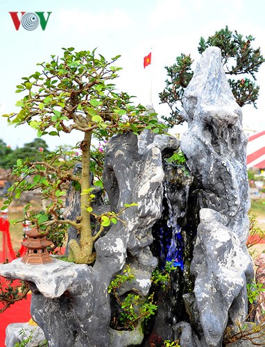 Hình ảnh cột cờ trên đỉnh núi....