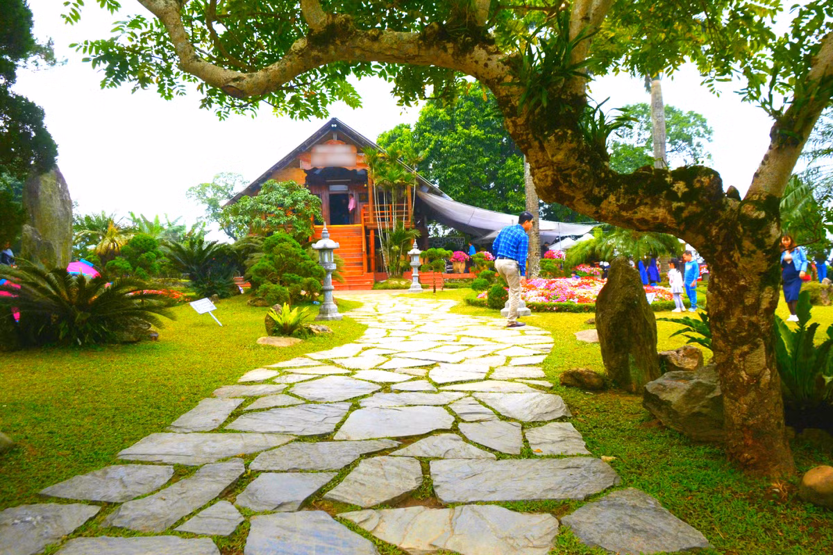 Ngôi nhà sàn ngập sắc hoa tươi nằm trong khu rừng núi ở huyện Ba Vì - chỉ cách trung tâm Hà Nội khoảng hơn một giờ chạy xe.