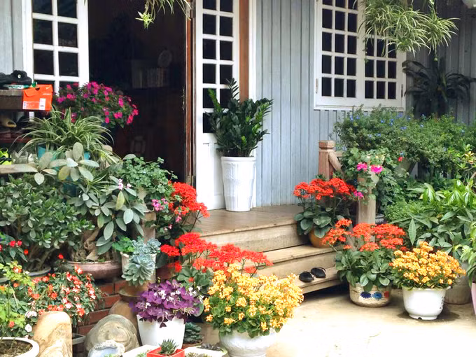 Các lối đi vào nhà đều tràn ngập sắc hoa, trong đó nhiều nhất là hoa hồng. Mỗi khi đến mùa xuân, các bông hoa đua nở, tạo nên khung cảnh lãng mạn, nên thơ. Ảnh: Phạm Hưởng