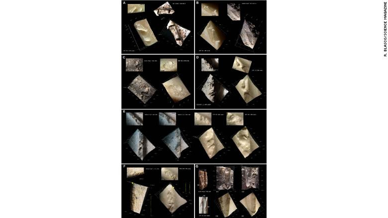 Những dấu hiệu này là kết quả của những nỗ lực của người xưa để loại bỏ da khô khỏi xương được bảo quản.