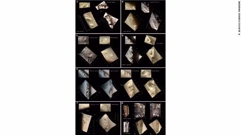 Những dấu hiệu này là kết quả của những nỗ lực của người xưa để loại bỏ da khô khỏi xương được bảo quản.